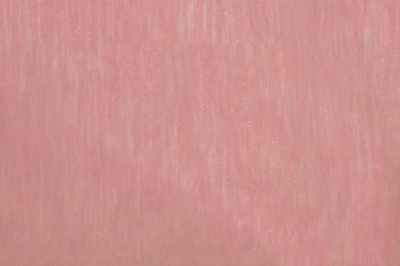 Органза однотонная "Амелия" С19 (Розовый) 280 см - купить в Сарове. Цена 303.09 руб.