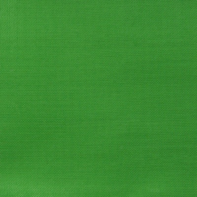 Ткань подкладочная Таффета 17-6153, 48 гр/м2, шир.150см, цвет трава - купить в Сарове. Цена 46 руб.