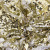 Трикотажное полотно, Сетка с пайетками, шир.130 см, #315, цв.-белый/золото - купить в Сарове. Цена 693.39 руб.