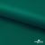 Ткань подкладочная Таффета, 19-5420, 53 г/м2, антистатик, шир. 150 см, вечнозеленый - купить в Сарове. Цена 57.16 руб.