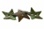 Деревянные украшения для рукоделия пуговицы "Кокос" #1 - купить в Сарове. Цена: 55.18 руб.