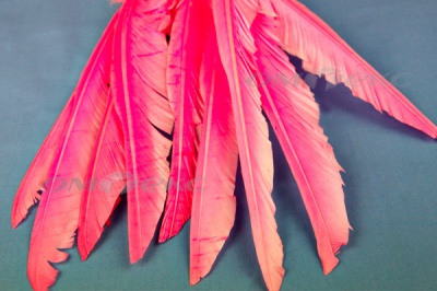 Декоративный Пучок из перьев, перо 25см/розовый - купить в Сарове. Цена: 14.40 руб.