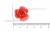 Украшение "Розы малые №1" 20мм - купить в Сарове. Цена: 32.49 руб.