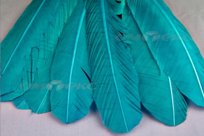Декоративный Пучок из перьев, перо 24см/голубой - купить в Сарове. Цена: 12.19 руб.