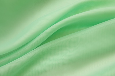 Портьерный капрон 13-6009, 47 гр/м2, шир.300см, цвет св.зелёный - купить в Сарове. Цена 143.68 руб.