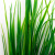 Трава искусственная -2, шт (осока 41см/8 см)				 - купить в Сарове. Цена: 104.57 руб.