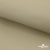 Ткань подкладочная TWILL 230T 14-1108, беж светлый 100% полиэстер,66 г/м2, шир.150 cм - купить в Сарове. Цена 90.59 руб.