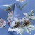 Плательная ткань "Фламенко" 12.1, 80 гр/м2, шир.150 см, принт растительный - купить в Сарове. Цена 241.49 руб.