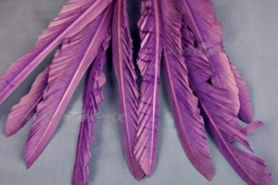 Декоративный Пучок из перьев, перо 25см/фиолетовый - купить в Сарове. Цена: 12.19 руб.