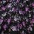 Плательная ткань "Фламенко" 20.1, 80 гр/м2, шир.150 см, принт растительный - купить в Сарове. Цена 241.49 руб.