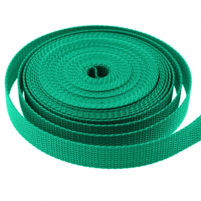 Стропа текстильная, шир. 25 мм (в нам. 50+/-1 ярд), цвет яр.зелёный - купить в Сарове. Цена: 397.52 руб.