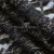 Кружевное полотно XD LACE 1-4, 80 гр/м2, шир.150см, цвет чёрный - купить в Сарове. Цена 245.94 руб.